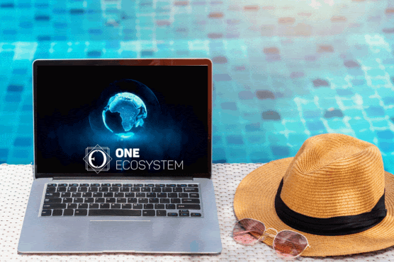 Next to a straw hat near the pool, a laptop with "One Ecosystem" written on it.