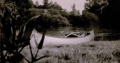 In less swift waters...