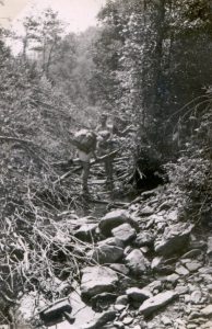 Un enchevêtrement invraisemblable