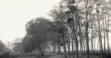 Les coins vus il y a trois mois