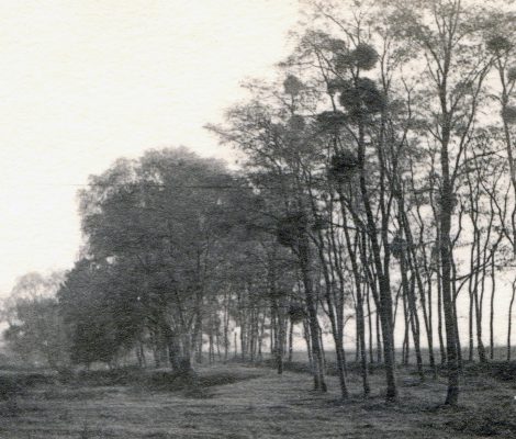 Les coins vus il y a trois mois