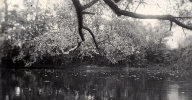 Son confluent aval avec le Moyen Bras