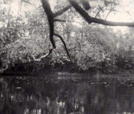 Son confluent aval avec le Moyen Bras