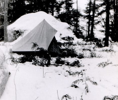 La couche est restée vierge La Nature
