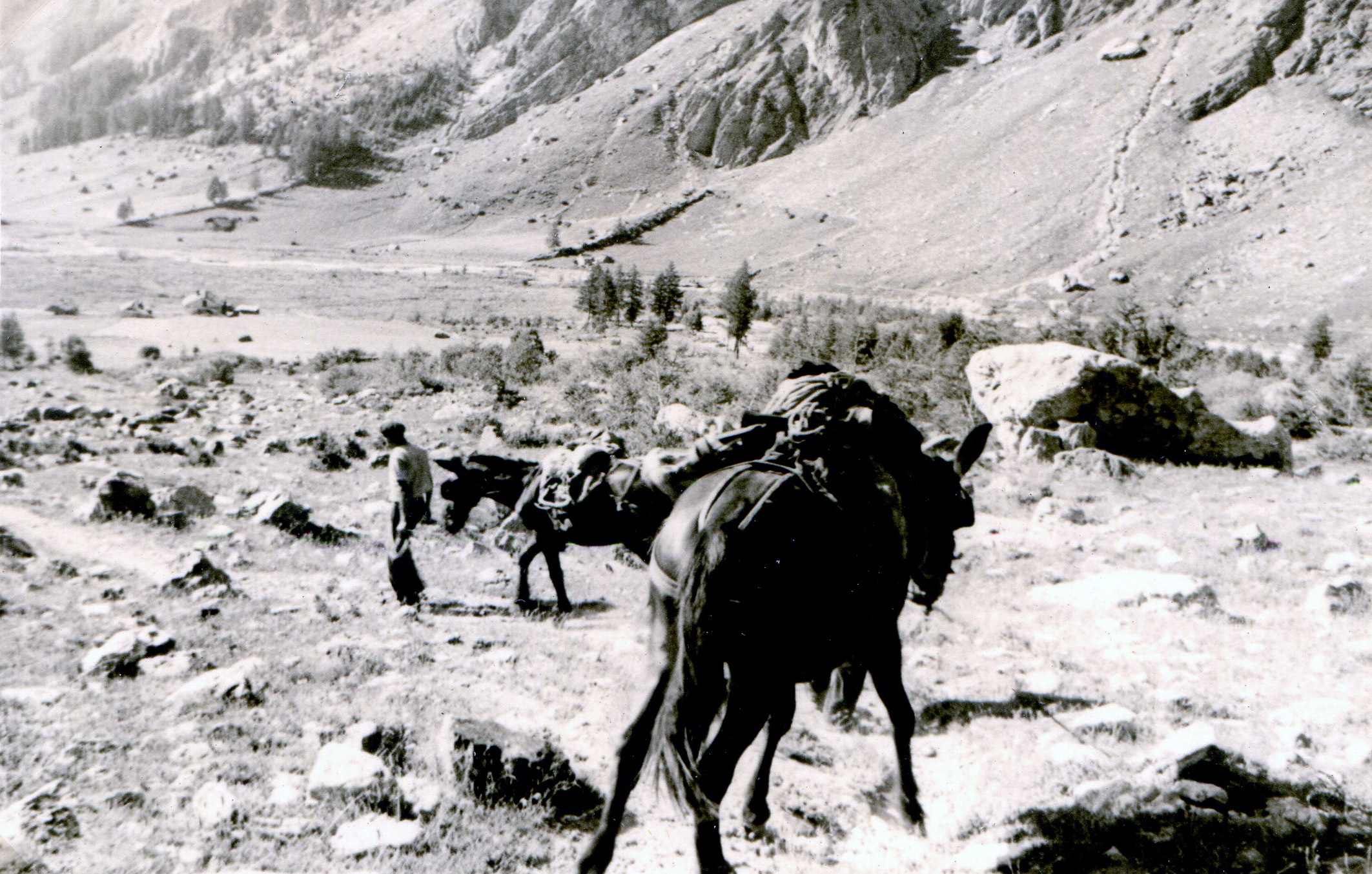 Le sentier suit une pente aisée