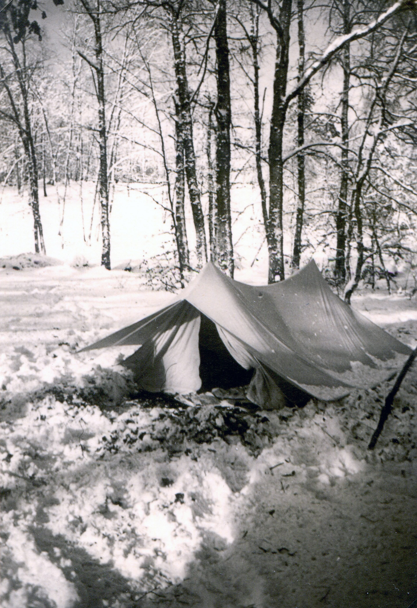 le soleil joue sur la tente