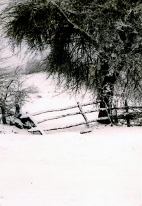des paysages de Noël