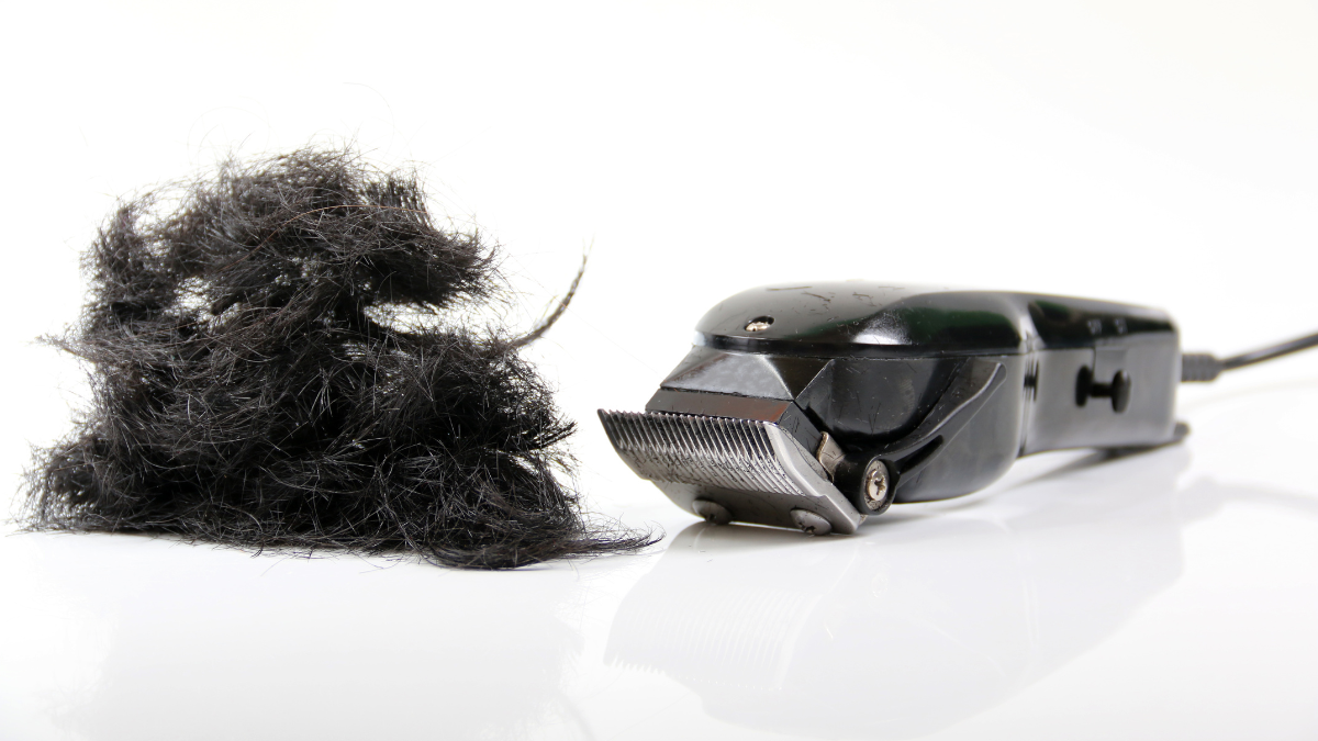 Cortadora de cabello negra profesional sobre una superficie blanca con cabello negro recortado: cortadora de peluquero premium para cortes de cabello precisos.