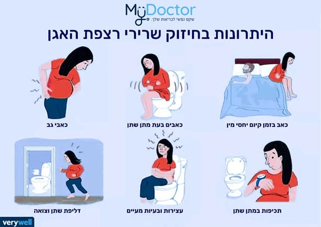 Benefits of Strengthening Pelvic Floor Muscles MyDoctor