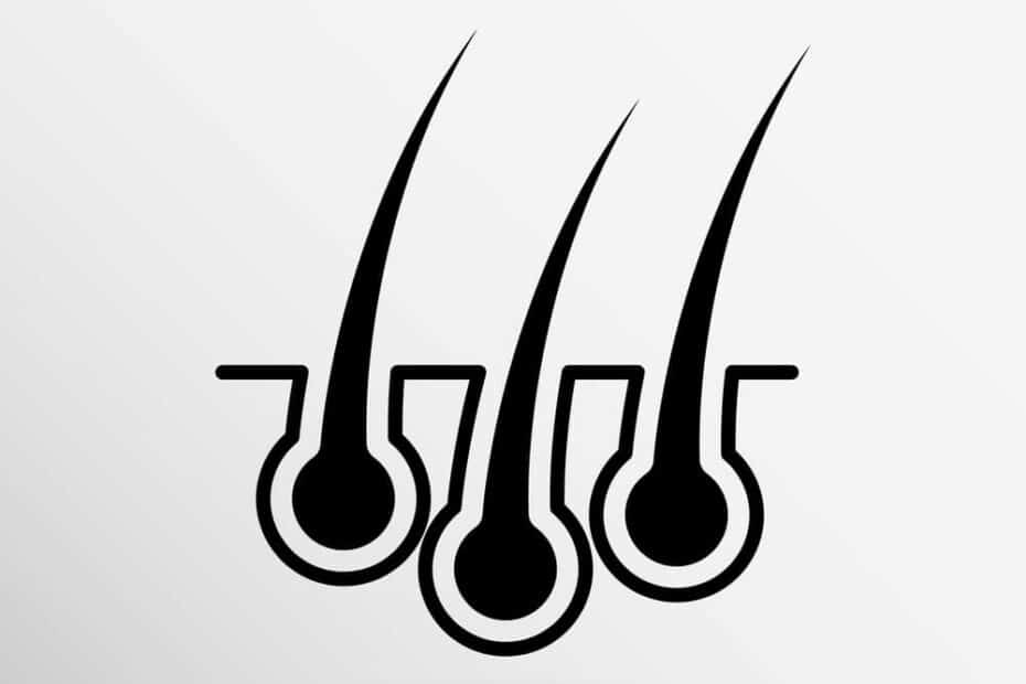 השתלת שיער איכותית emrahcinik.com mydoctor.co .il