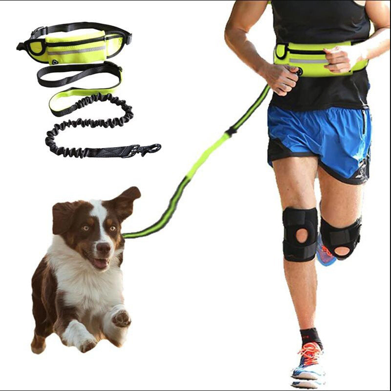 Handsfree hondenriem Huisdier wandel- en trainingsriem met schokabsorberende bungee-riem voor maximaal 180 lbs Grote honden telefoonzak en waterfleshouder