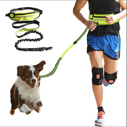 Handsfree hondenriem Huisdier wandel- en trainingsriem met schokabsorberende bungee-riem voor maximaal 180 lbs Grote honden telefoonzak en waterfleshouder