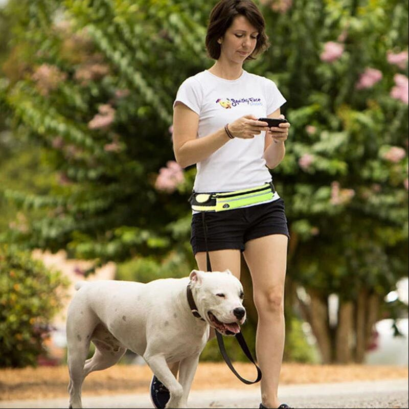 Handsfree hondenriem Huisdier wandel- en trainingsriem met schokabsorberende bungee-riem voor maximaal 180 lbs Grote honden telefoonzak en waterfleshouder