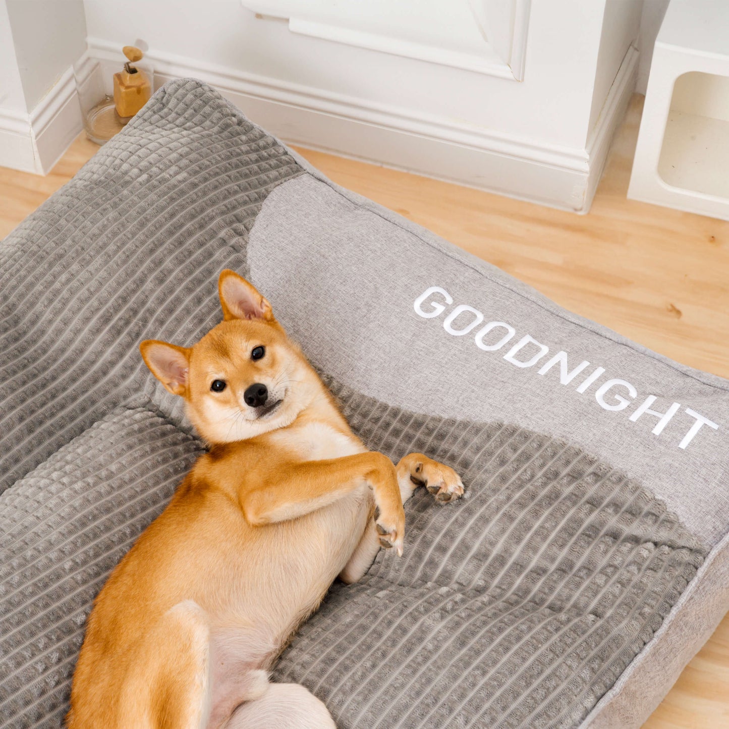Groot dik krasbestendig hondenkussenbed ter bescherming van de wervelkolom