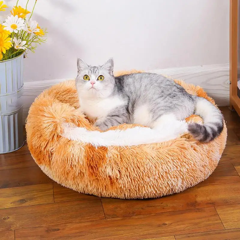 Huisdierbedden Zachte pluche katten honden huis bed voor hond met antislip bodem Indoor Cat Cave Bed Machine wasbare dierbenodigdheden