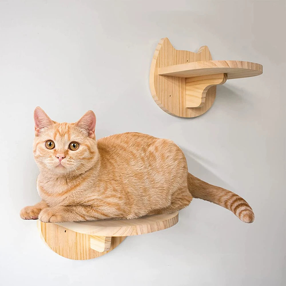Kat Muur Klimmen Plank Stappen Ladder Krabpaal Scratcher Bed Schuilhuis voor Katten Boomtoren Huisdier Meubels Accessoires