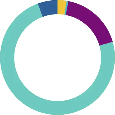 Cuidados paliativos pediátricos Madrid Gráfico circular con cinco colores que destaca la transparencia en CAPPI Fundación porqueViven en cuidados paliativos pediátricos. CAPPI Fundación porqueViven