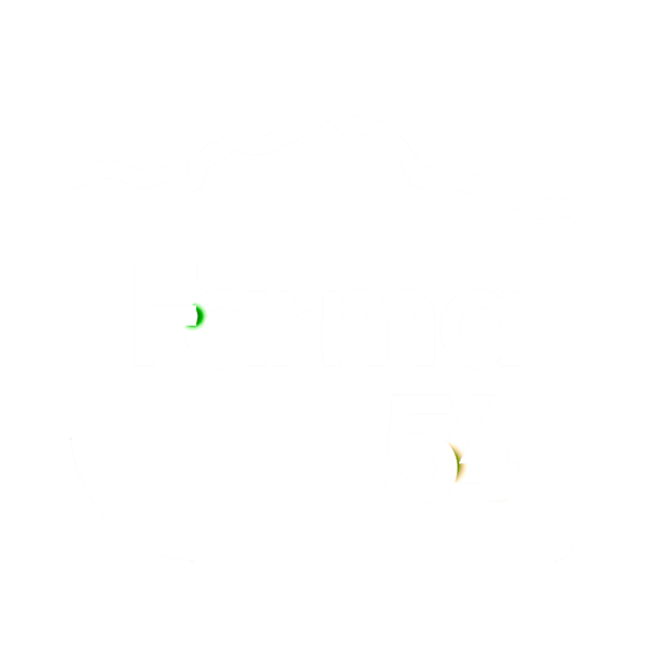 Fundo branco, silhueta