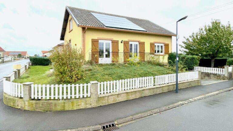 IN DER NÄHE VON METZ - 6 ZIMMER HAUS MIT GARTEN