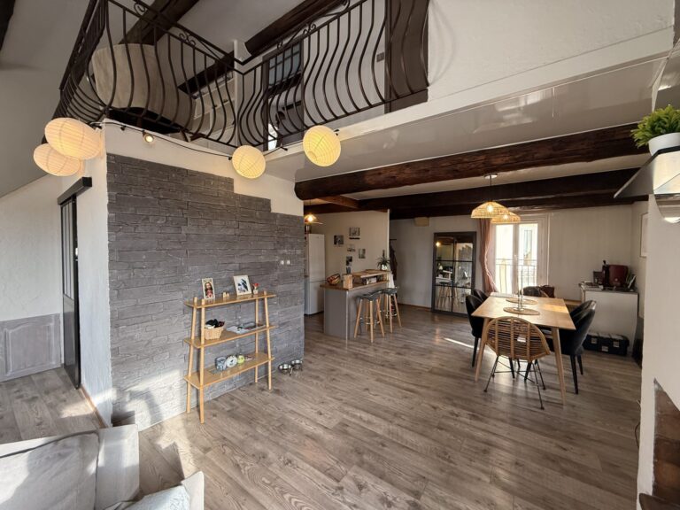 Appartement Duplex avec terrasse