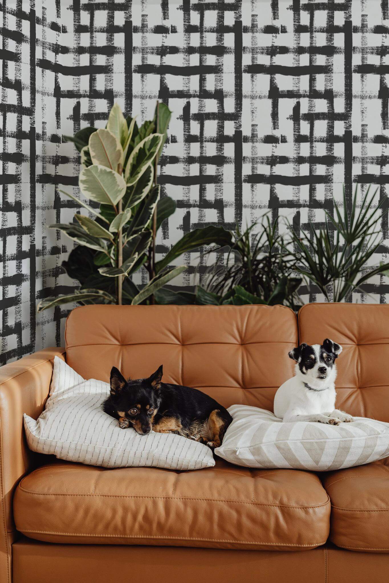 Brush stroke gingham Wallpaper