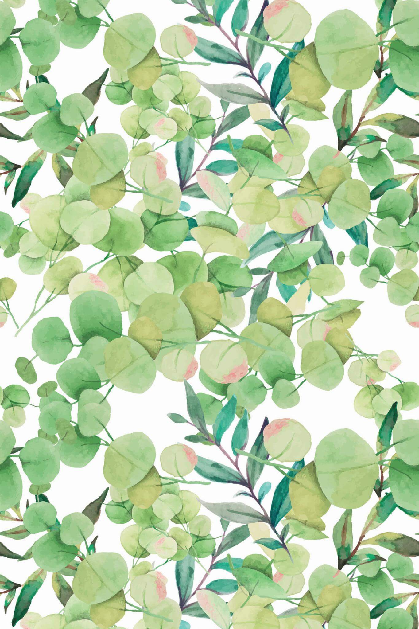 Eucalyptus leaves Wallpaper - Image 2