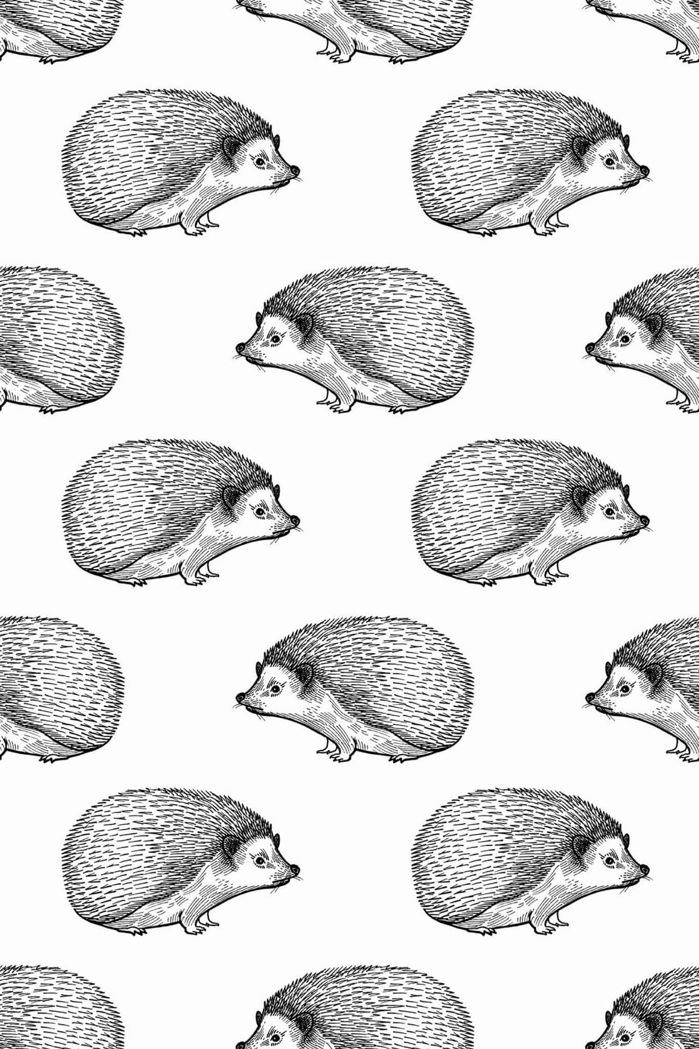 Hedgehog Wallpaper - Image 2
