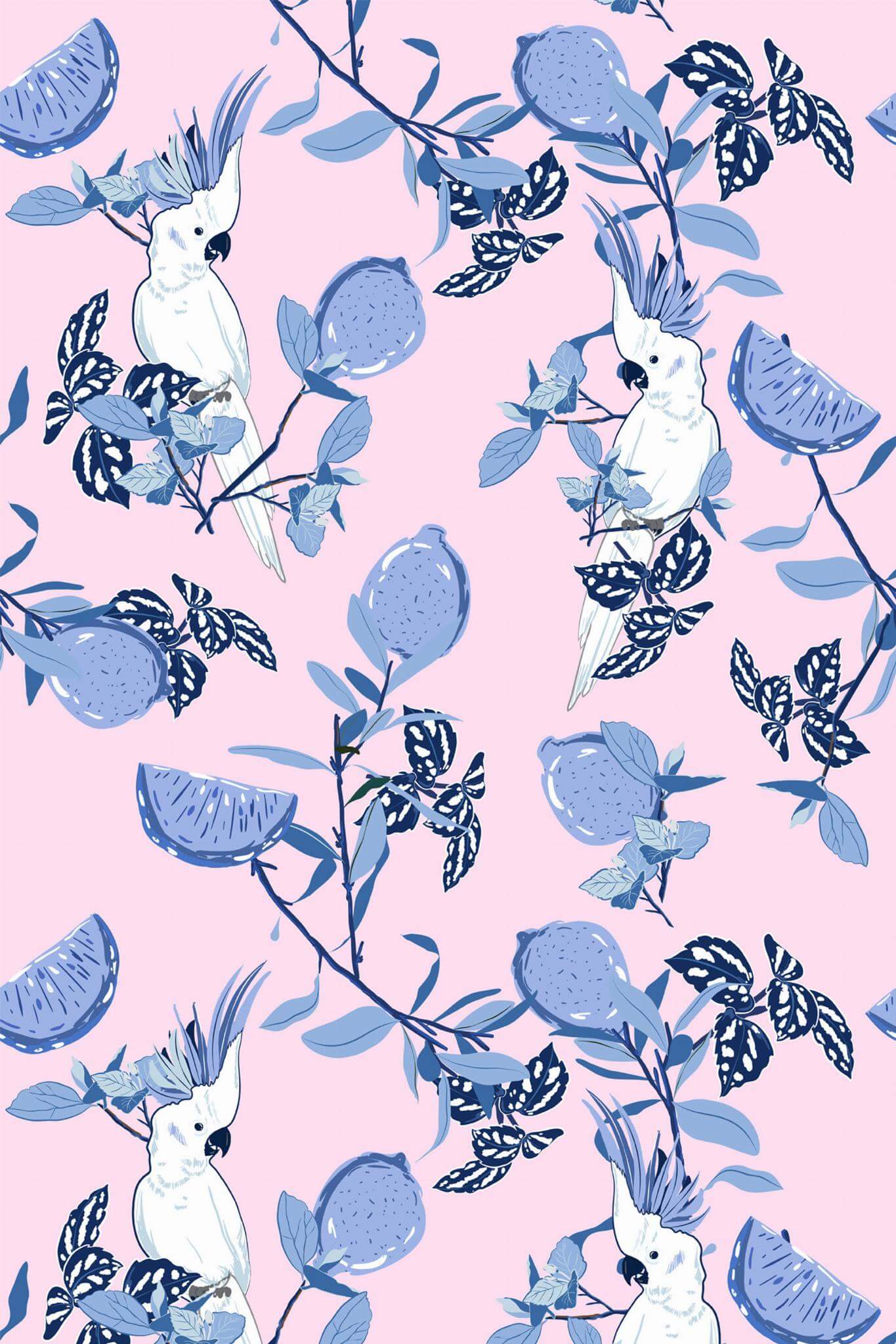 Parrot Wallpaper - Image 2