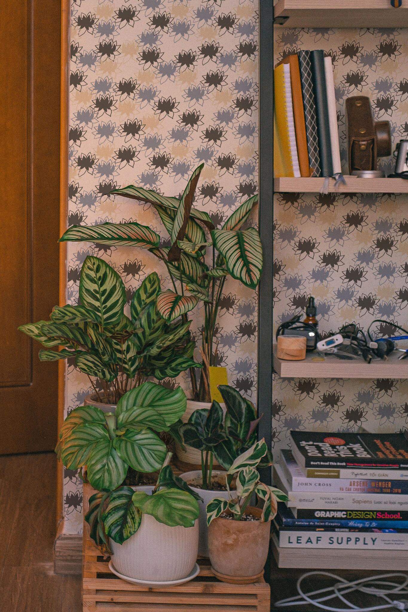 Water lily Wallpaper