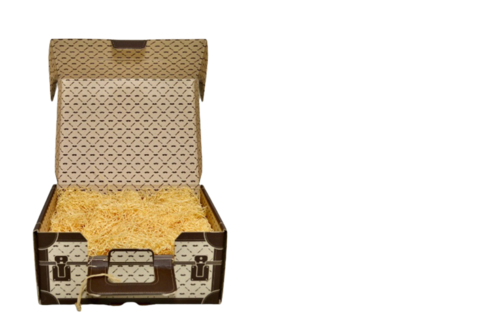 Saporalia's suitcases