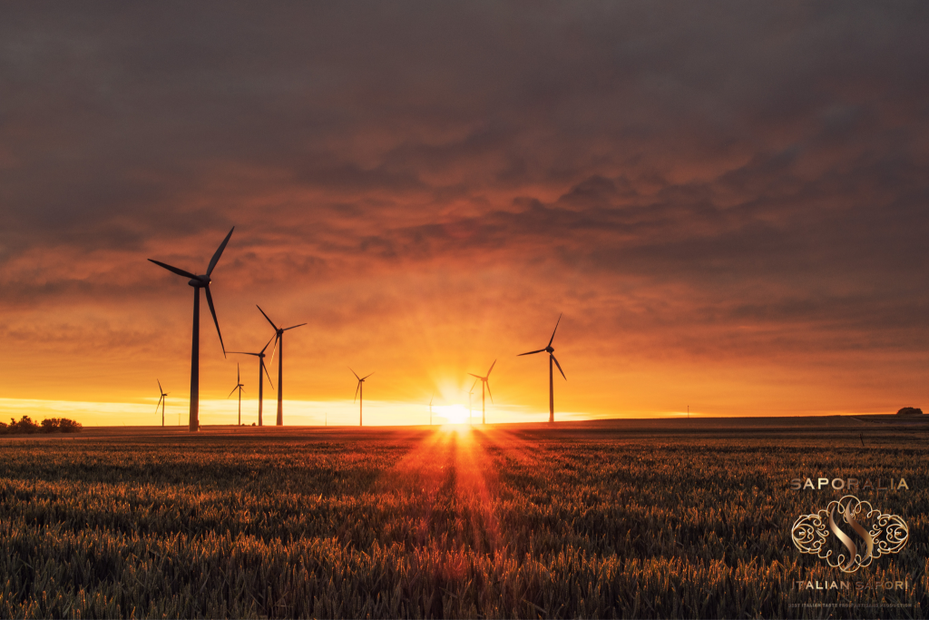 Saporalia and sustainability