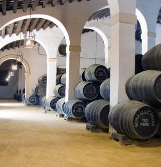 Museu Tío Pepe e Adegas