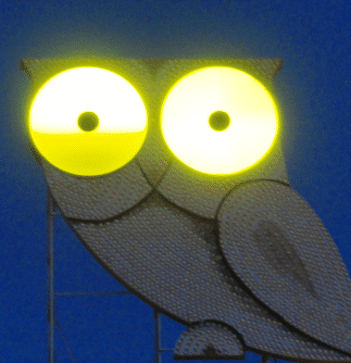 Hibou illuminé