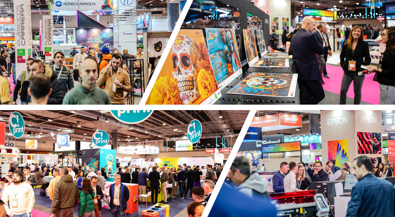 1493857_1738226366756-1