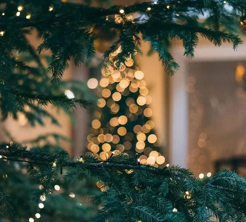 Árbol de Navidad con guirnaldas de luces