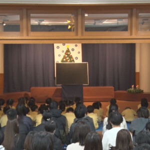 Y 幼儿园