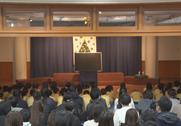 Y 幼儿园