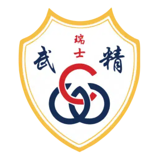 This image shows an emblem with a golden shield outline that contains an intertwined blue, red, and white pattern in the center, resembling a stylized "G." At the top of the shield are the red Chinese characters "国安", flanked by smaller characters.