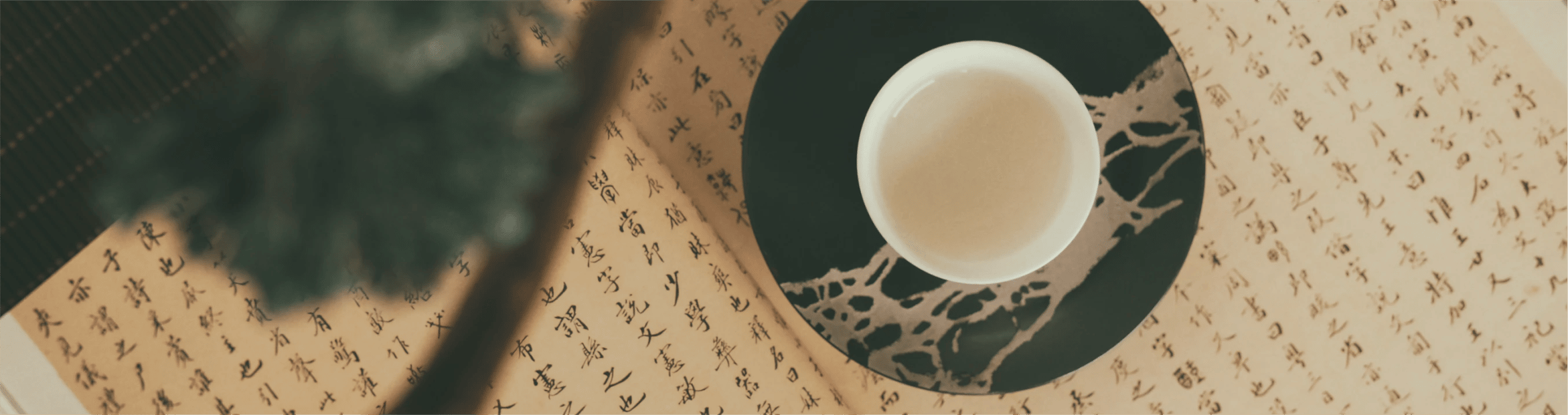 Chin Woo 的概念