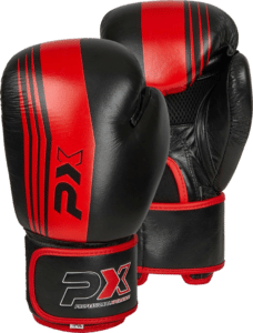 PHOENIX Budosport 的 Sanda 拳擊手套 www.pxstore.ch