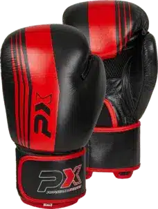 Sanda Boxing Glove by PHOENIX Budosport on www.pxstore.ch