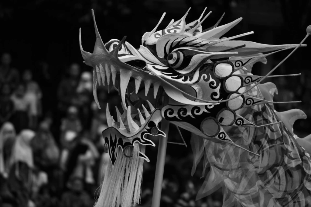 是什麼造就了中國龍？