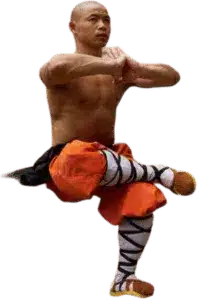 shaolin - Traditional Chinese martial arts bie Chin Woo