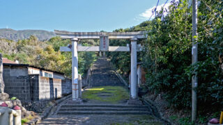 神々が守る火山島・伊豆大島・大宮神社・神話と巨樹の森、台風からの復興