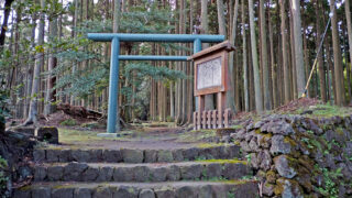 伊豆大島・波治加麻神社：神話と歴史の深奥へ、苔むす参道が誘う神秘の島