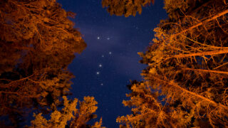 鳥越神社:平将門の北斗七星伝説の虚実、歴史と絆が織りなす真の魅力