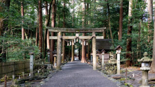 椿大神社：日本最古の聖域、猿田彦大神が道開く異次元の森と磐座の神秘