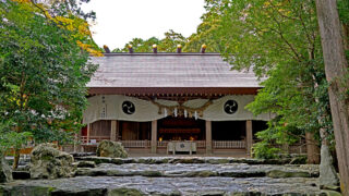 椿大神社：龍神舞い降りる幸運の聖地、松下幸之助が愛した茶室で心癒す神秘体験