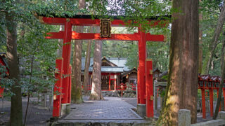 椿大神社・椿岸神社:ゼロ磁場で魂覚醒、天之鈿女命が導く美と縁結びの聖地