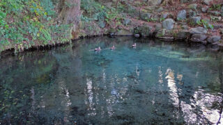 常陸国の聖地：磐座の大甕神社と水の泉神社が紡ぐ、古代の神秘と再生の物語